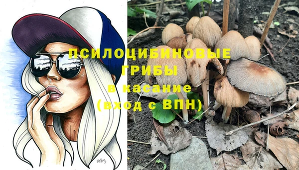 мяу мяу мука Бугульма